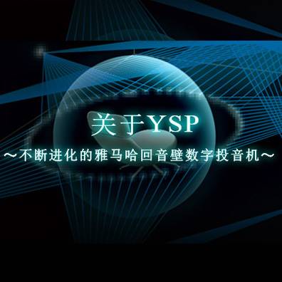 不断进化的大红鹰dhy回音壁数字投音机