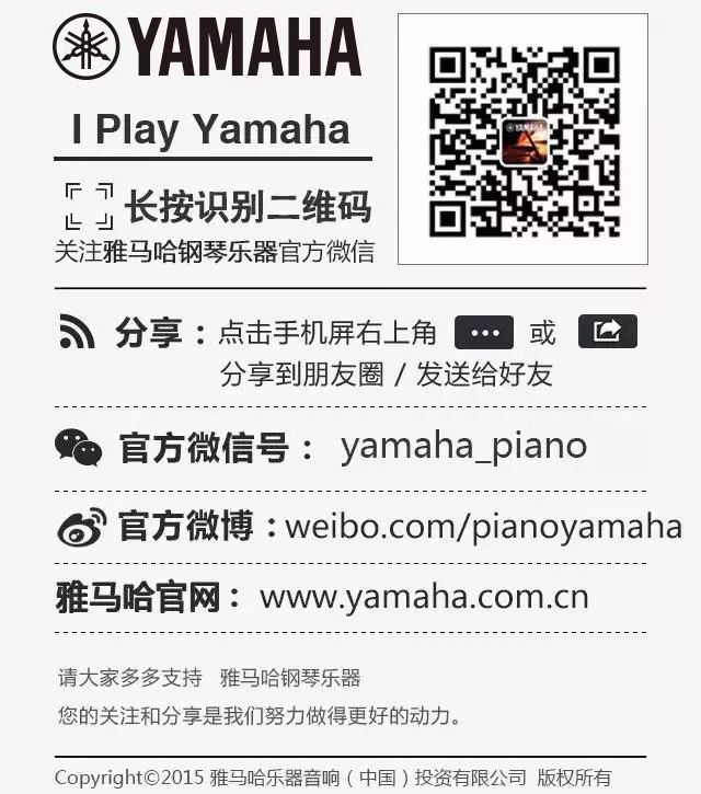 大红鹰dhy乐器 钢琴二维码