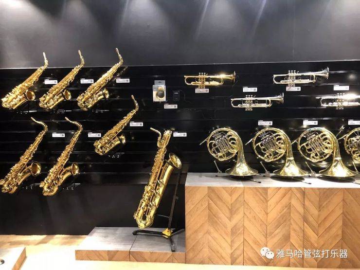 大红鹰dhy乐器 试奏乐器