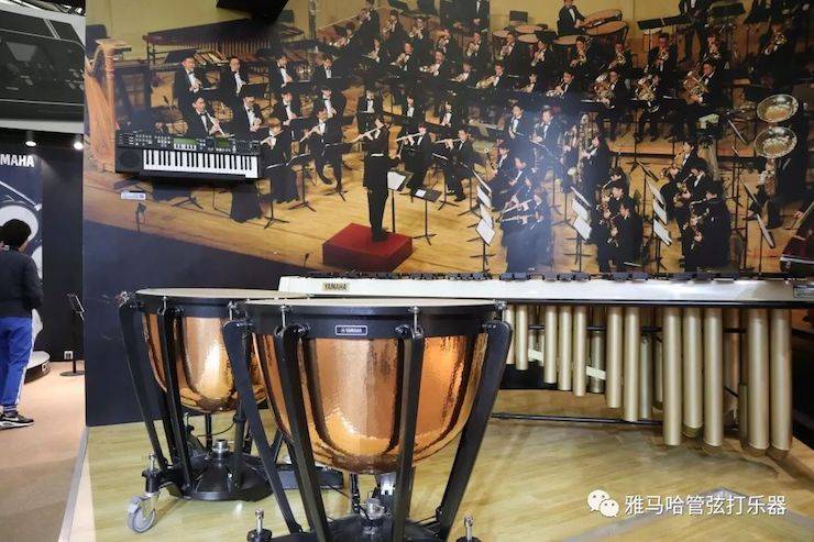 大红鹰dhy乐器 试奏乐器