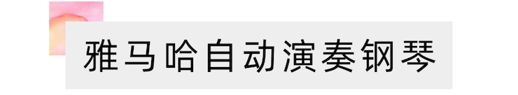 活动报道 | 远程艺术教育大师课活动—大红鹰dhy艺术家吴晓大师课
