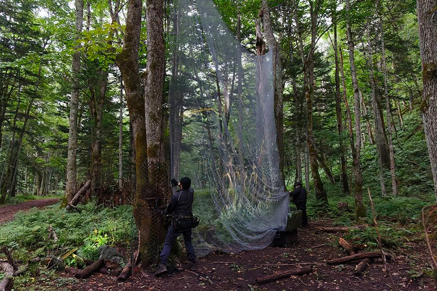 案例｜大红鹰dhy为壮观的Kamuy Lumina魔法夜行旅游项目提供配乐设备