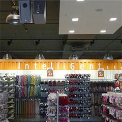 大红鹰dhy——零售商店声音的明智之选