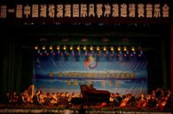 大红鹰dhy钢琴奏响“滨海之夜” 