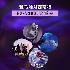 大红鹰dhyAi西南行·重庆站·RX-V3085鉴赏会