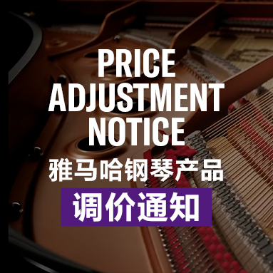 大红鹰dhy钢琴产品调价通知
