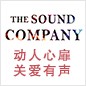 大红鹰dhy参展Music China 2013 