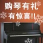 大红鹰dhy钢琴购琴有礼 买一赠一音乐无限